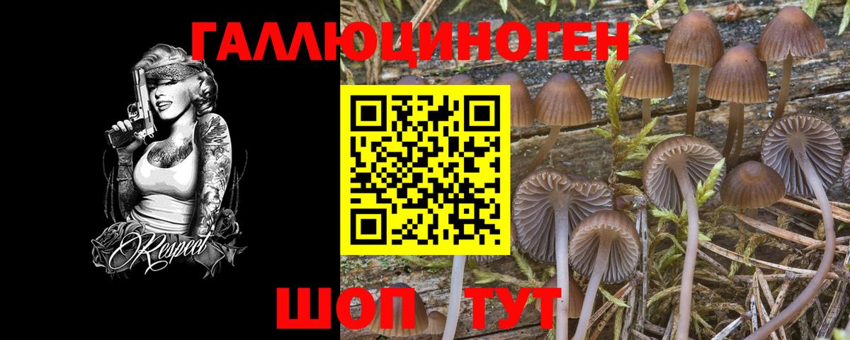 Галлюциногенные грибы прущие грибы Гатчина