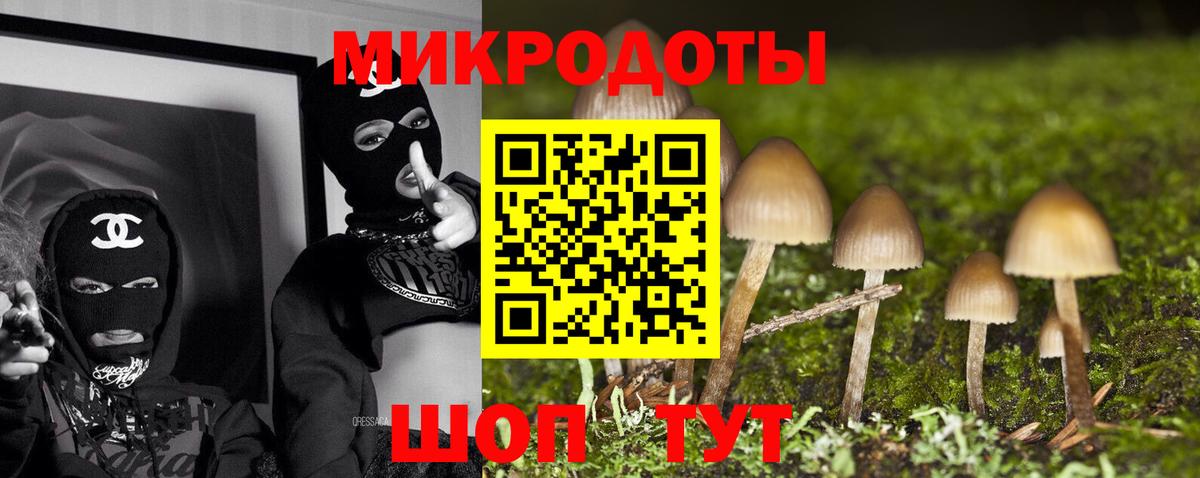 Гатчина  где купить наркотик  Галлюциногенные грибы Magic Shrooms  Вход с VPN  Галлюциногенные грибы Psilocybe 